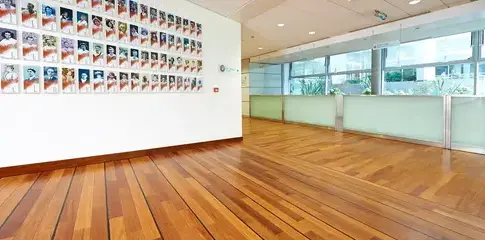 solier à Guipavas - image 3